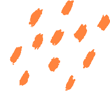 凝心聚力备中考,精准施策促提升 第7张