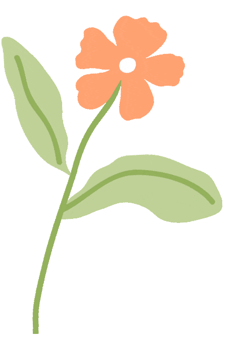 【凝心聚力迎中考,家校同心向新程】溆浦县圣达学校2026届九年级家长会 第38张