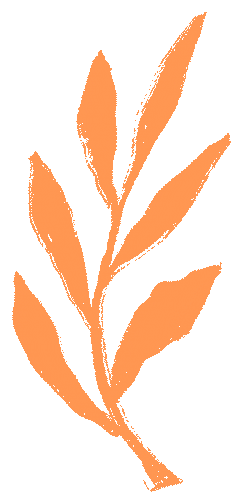 凝心聚力备中考,精准施策促提升 第25张