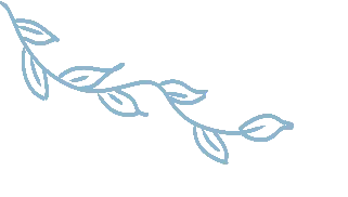 圭斋佳作 |《中考作文备考与提高策略》 第6张