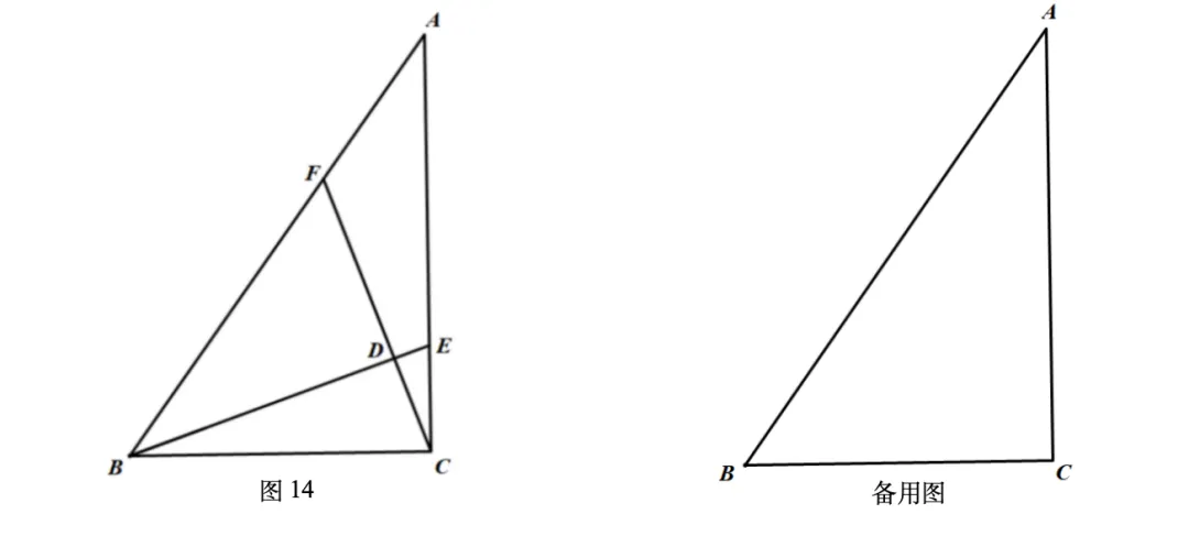 中考倒计时——稳住节奏,走好每一步 第10张