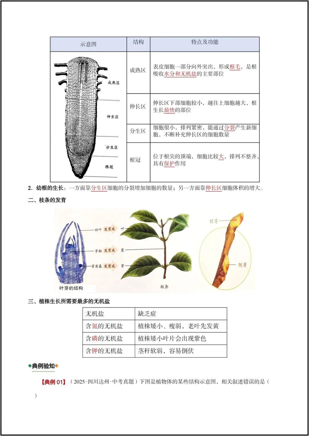 生地会考|2026春(生物会考)会考试卷+历年真题卷+二轮复习专项练习,电子版可打印! 第6张