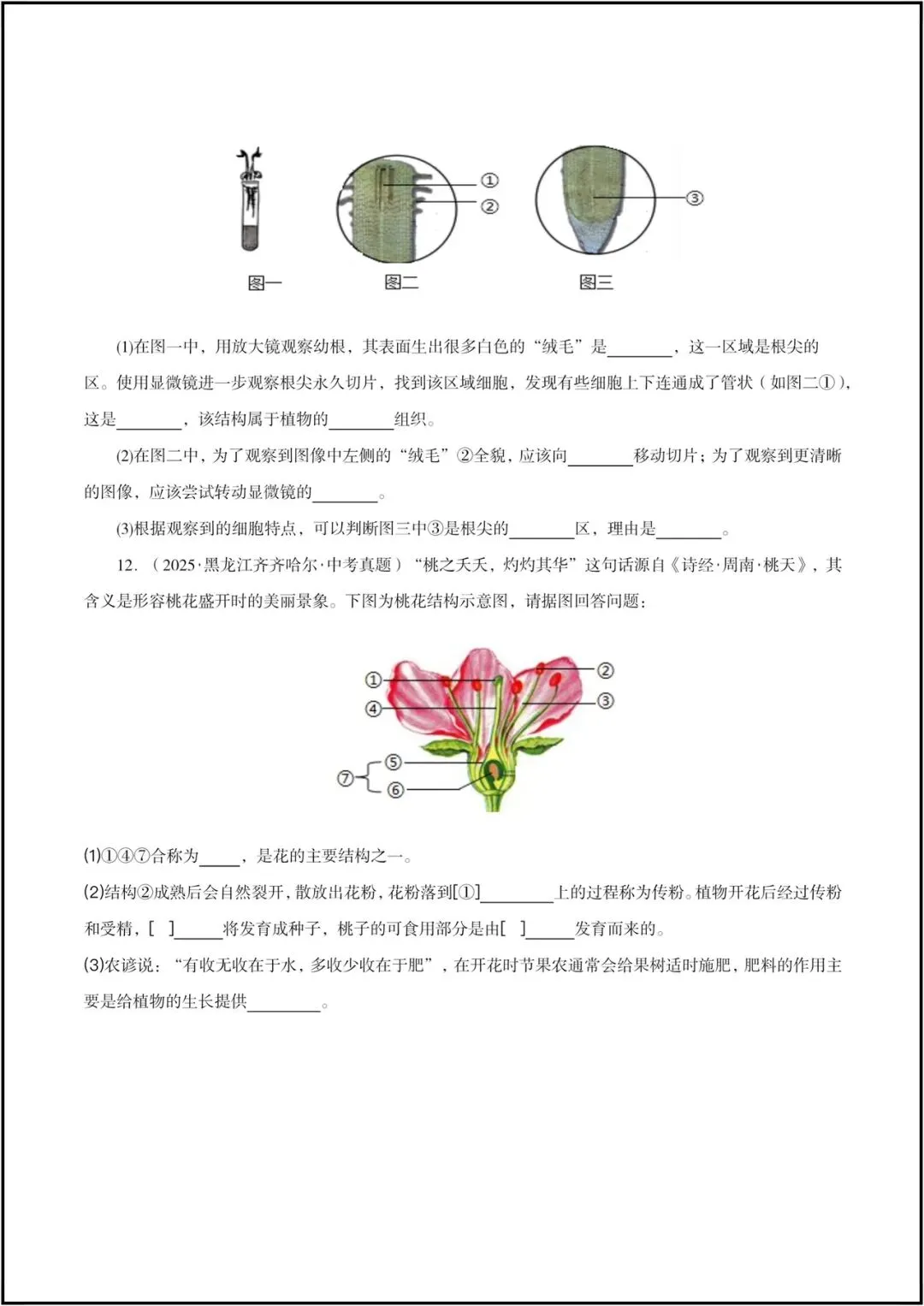 生地会考|2026春(生物会考)会考试卷+历年真题卷+二轮复习专项练习,电子版可打印! 第15张