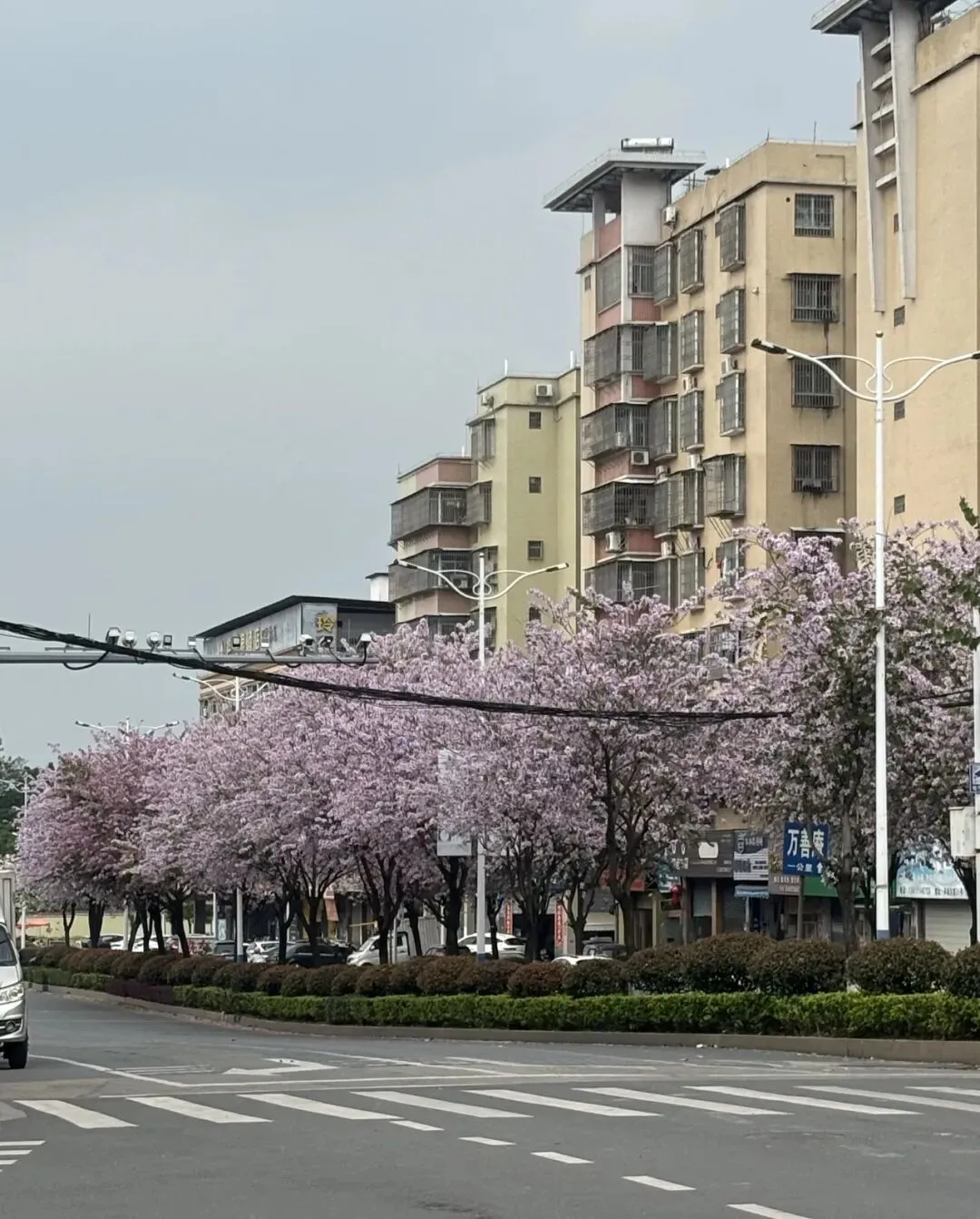 黑大新传真题分析第一弹 第3张 黑大新传真题分析第一弹 第3张