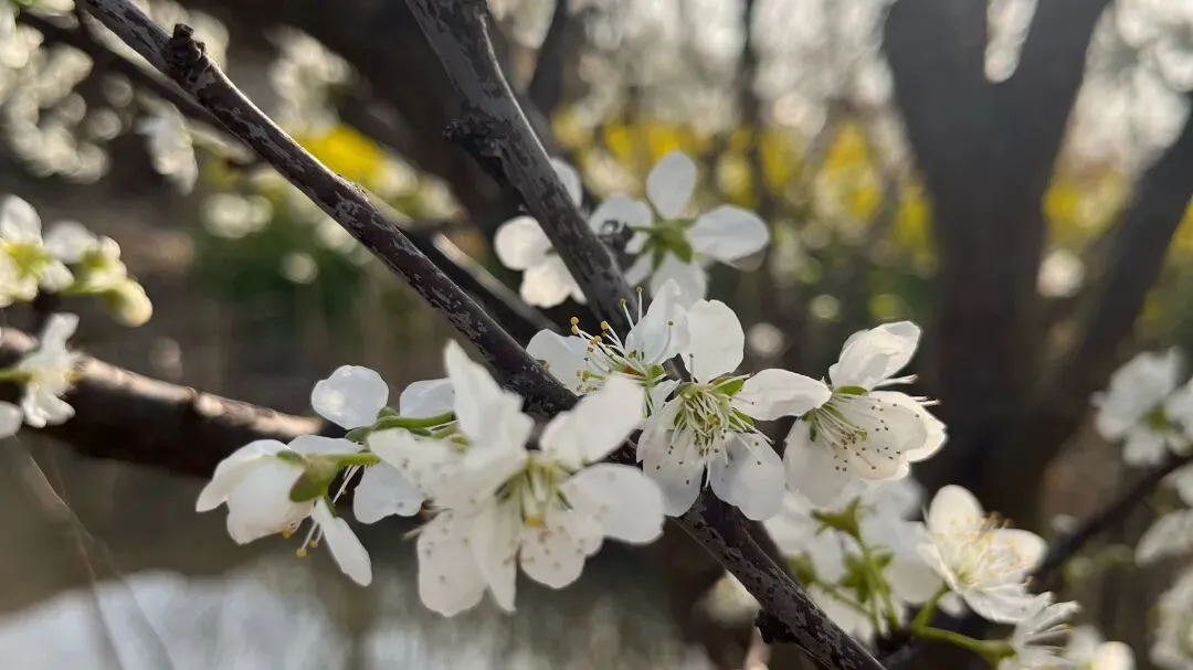 那个谎称试卷未发的男孩,父母的温柔是孩子说真话的底气 第2张