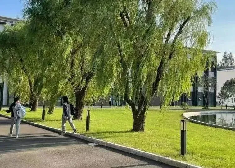 上实剑桥2026年秋招简章!考情分析+真题测试卷 第14张