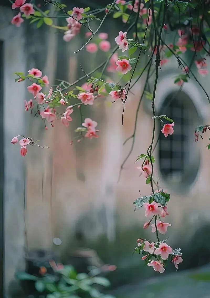 2026年中考模拟考试化学试题2 第6张