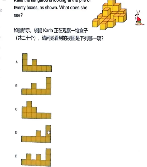 【免费领取】2026年袋鼠竞赛真题含解析(A-F全等级) 第11张
