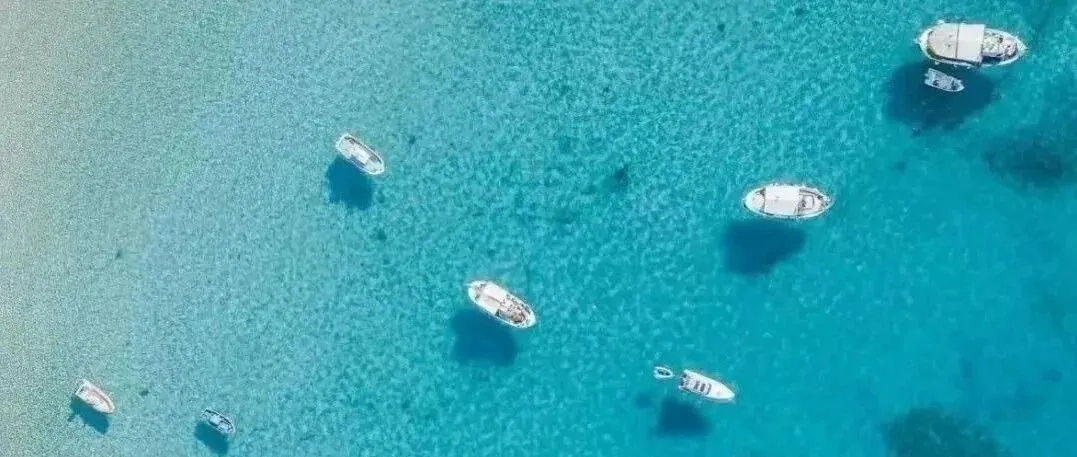 2025年4月浙江各地市高一期中生物试卷答案汇总,可下载! 第3张