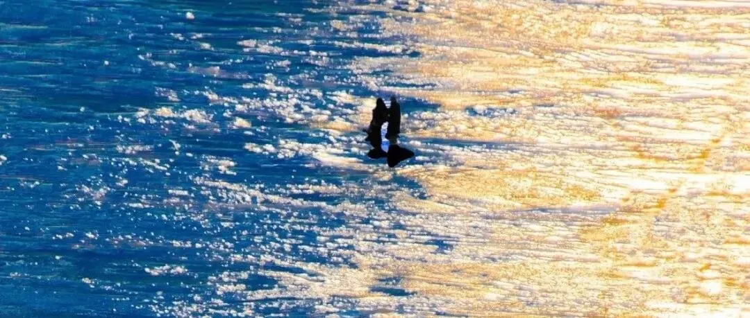 2025年4月浙江各地市高一期中生物试卷答案汇总,可下载! 第4张