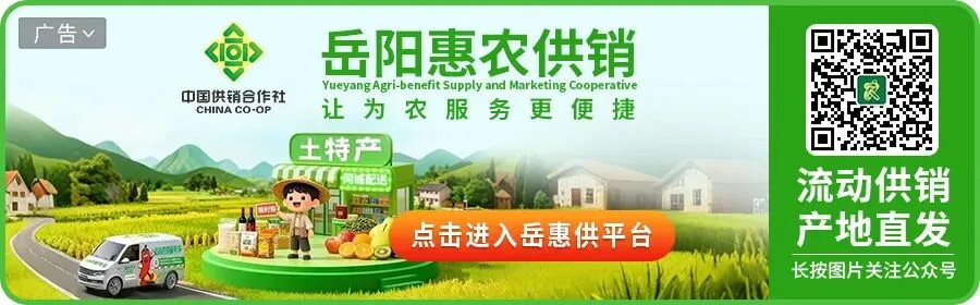 2026年岳阳市体育中考方案出炉! 第5张