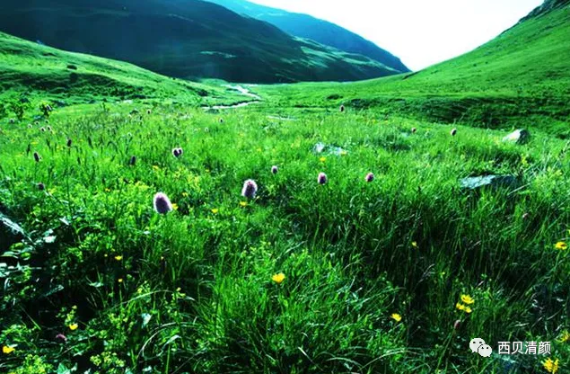 中考化学复习材料 第71张