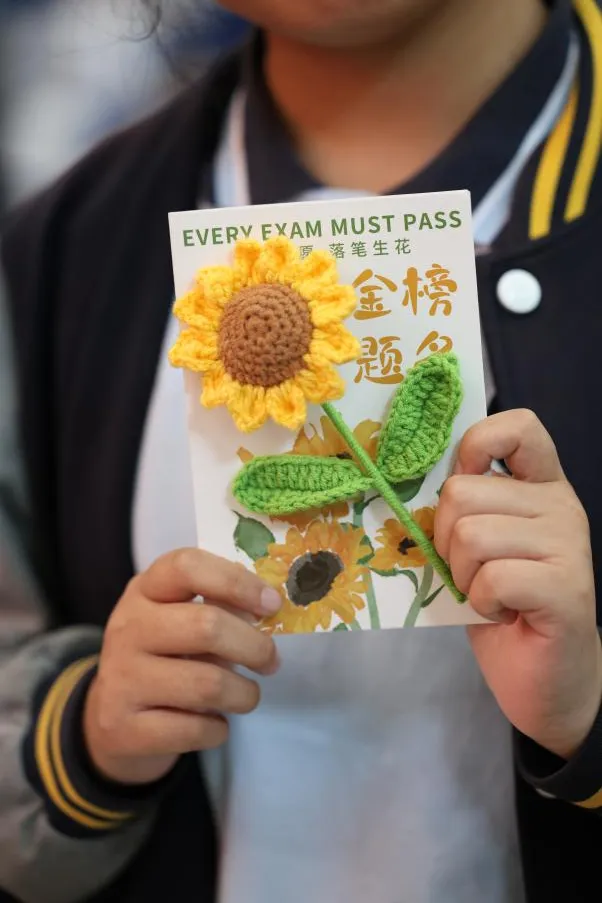 “坚定信念 笑迎中考” 助你全力冲刺!——倒计时30天冲刺励志培训 第29张