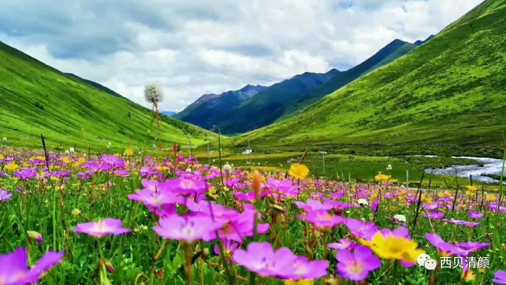 中考化学复习材料 第188张