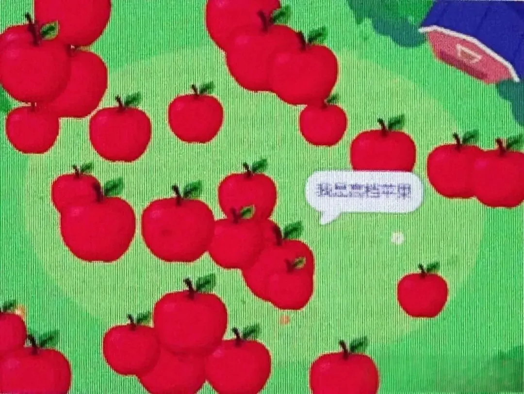 2025全国青少年信息素大赛真题 第13张