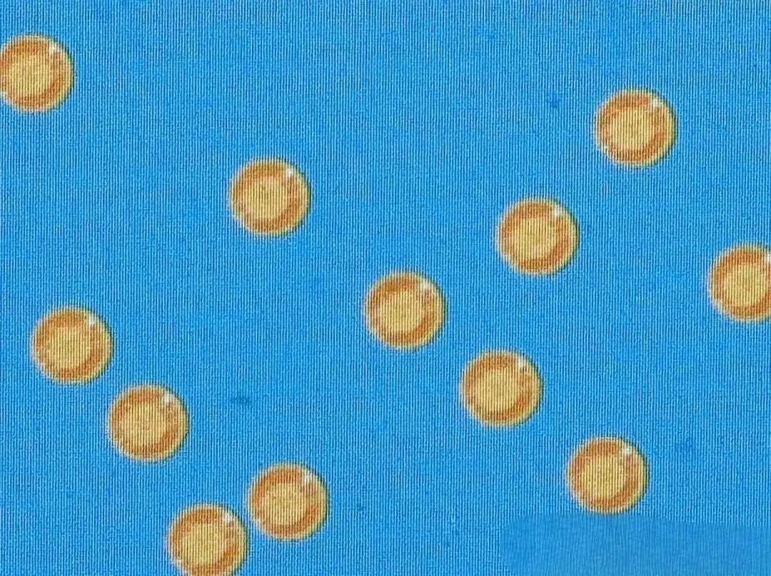 2025全国青少年信息素大赛真题 第15张