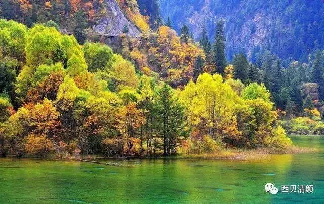 中考化学复习材料 第244张