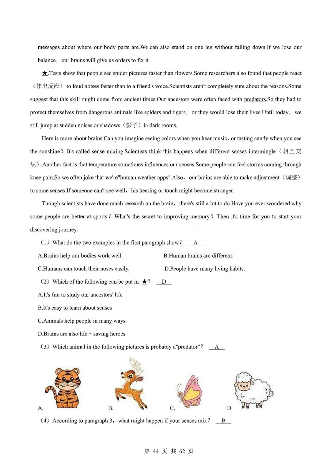 中考英语专题—阅读理解 第47张 中考英语专题—阅读理解 第47张