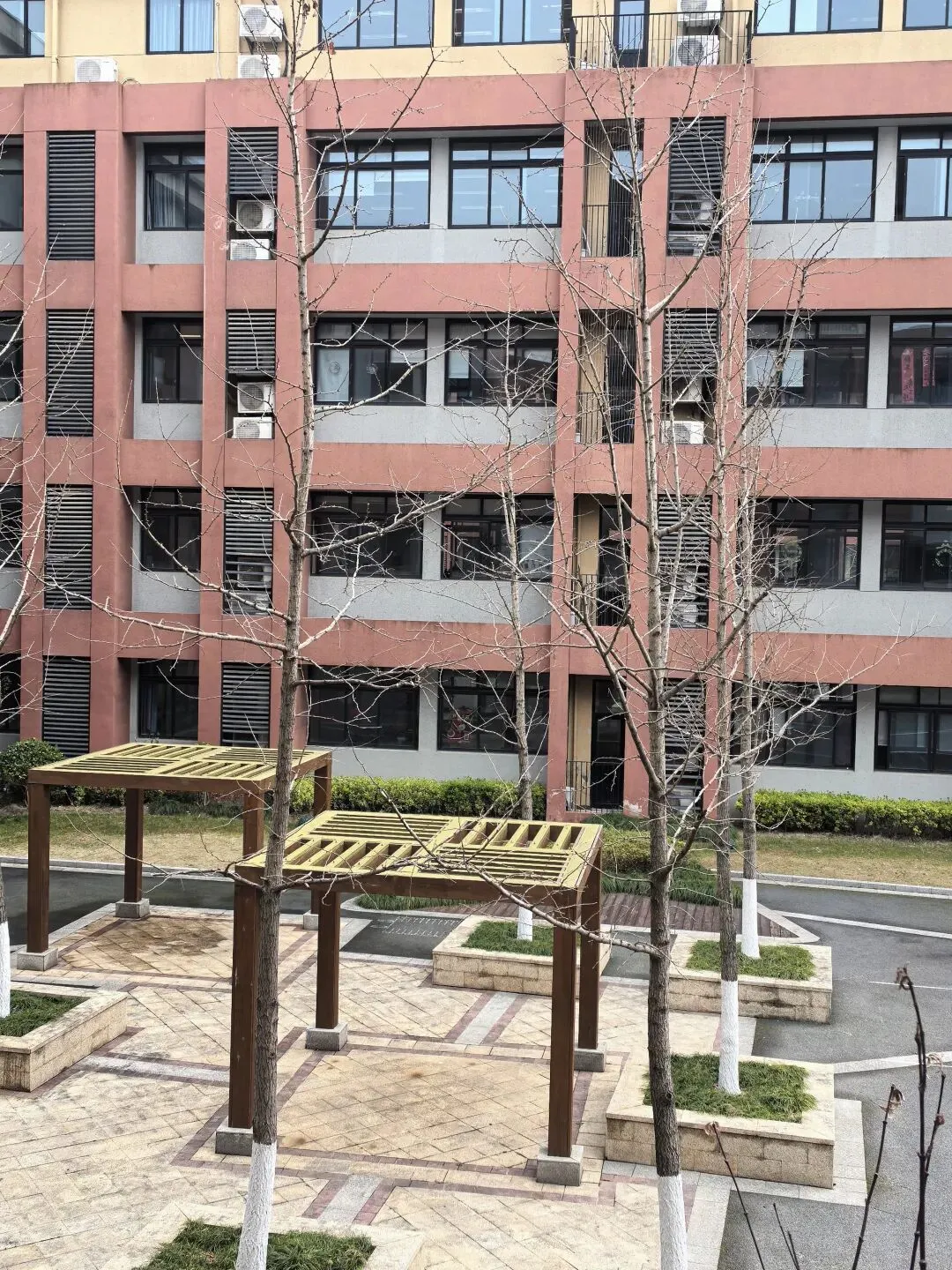 『离中考80天』今天,你看张雪机车了吗? 第2张