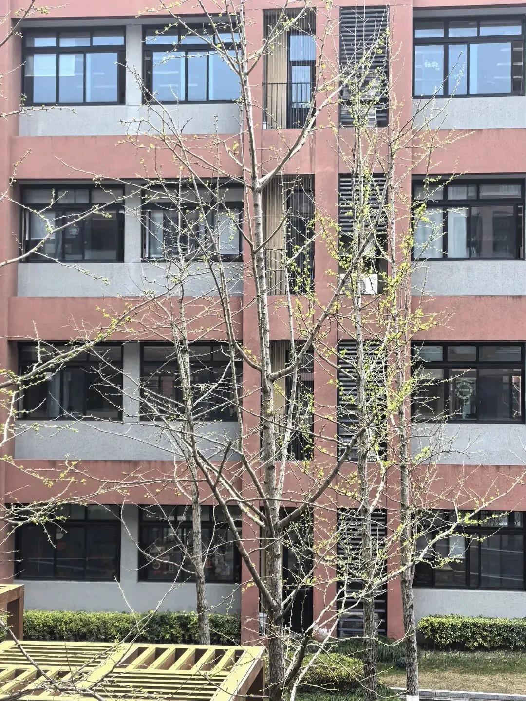 『离中考80天』今天,你看张雪机车了吗? 第3张