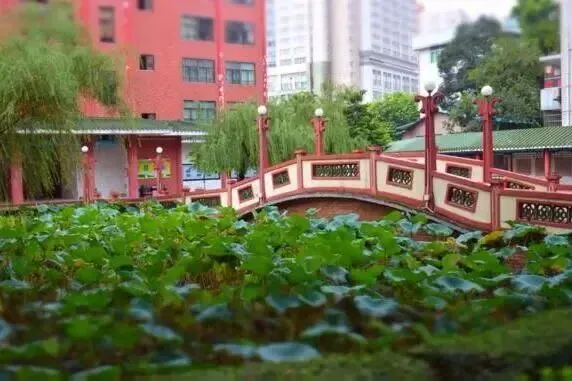 广州中考选校—执信中学(第二篇) 第14张