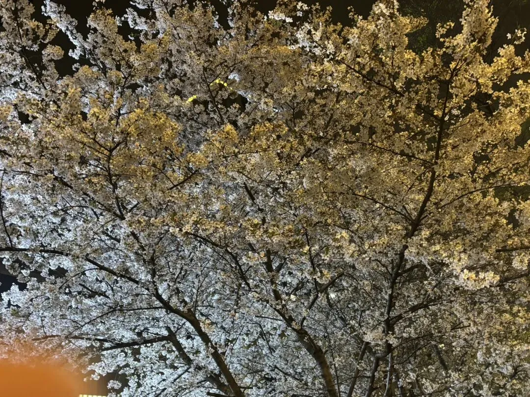 女儿中考倒计时79天—美好的事物就在身边 第3张 女儿中考倒计时79天—美好的事物就在身边 第3张