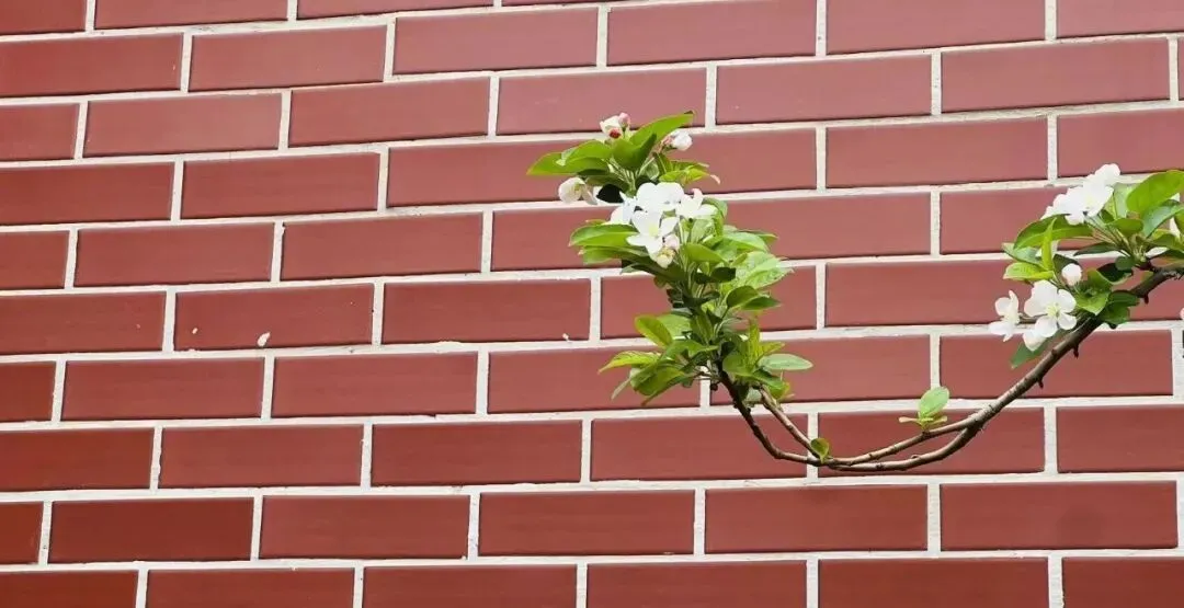 距中考75天 | 一个字:静 第1张 距中考75天 | 一个字:静 第1张