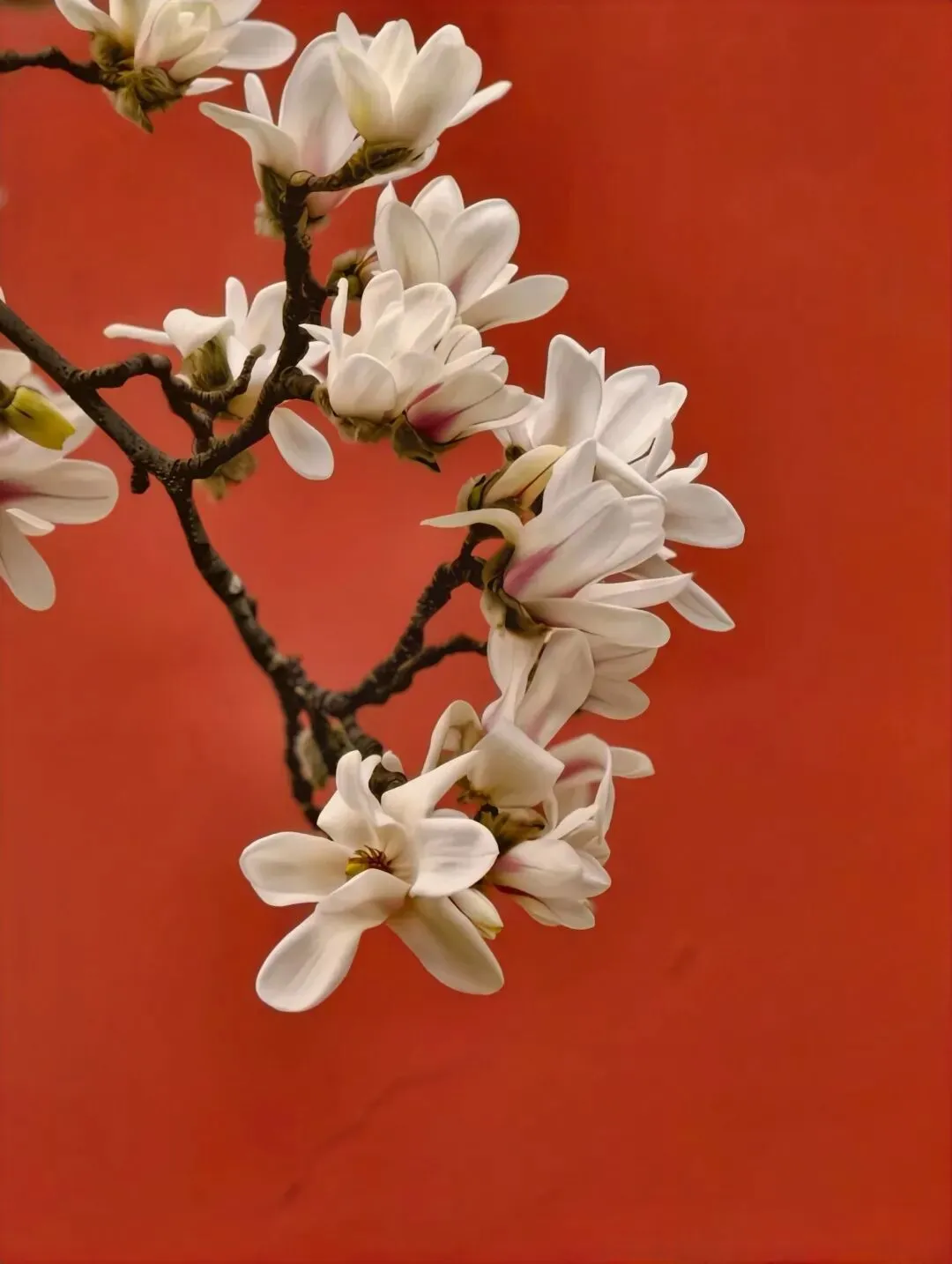 【中考物理】压强浮力综合选择题之电子秤模型 第12张