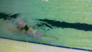 全国中考要考游泳?教育部回应了! 第4张