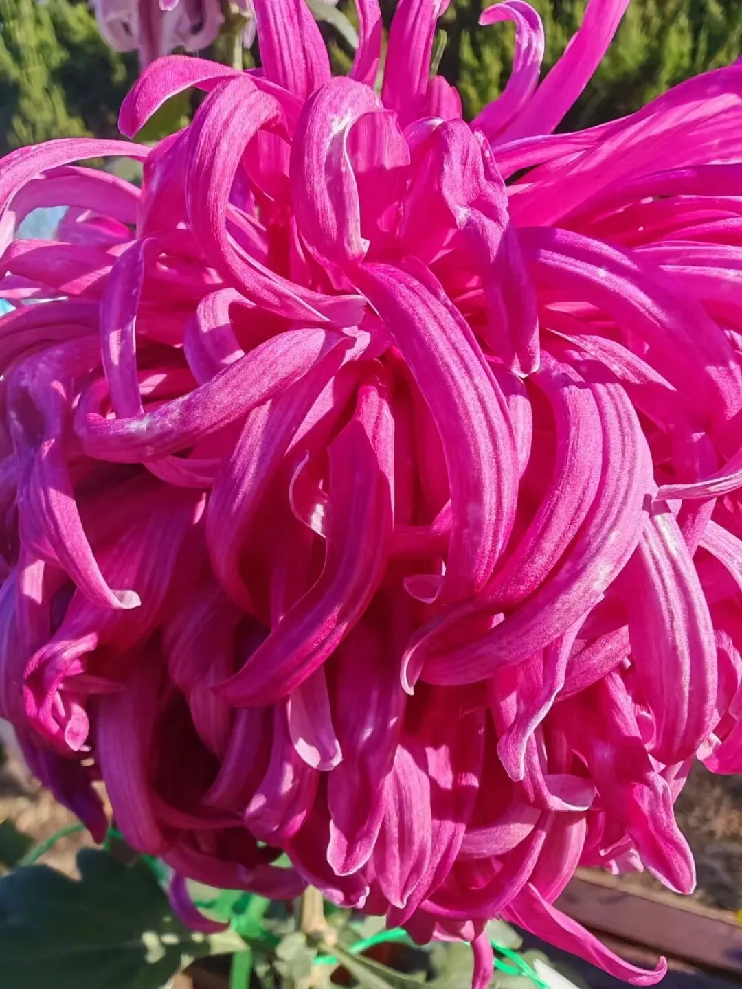 2026年中考数学命题分析与备考策略 第1张