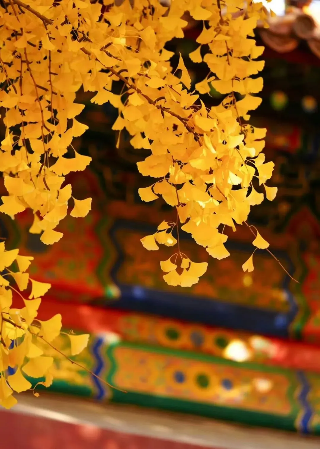 2026年中考数学命题分析与备考策略 第6张