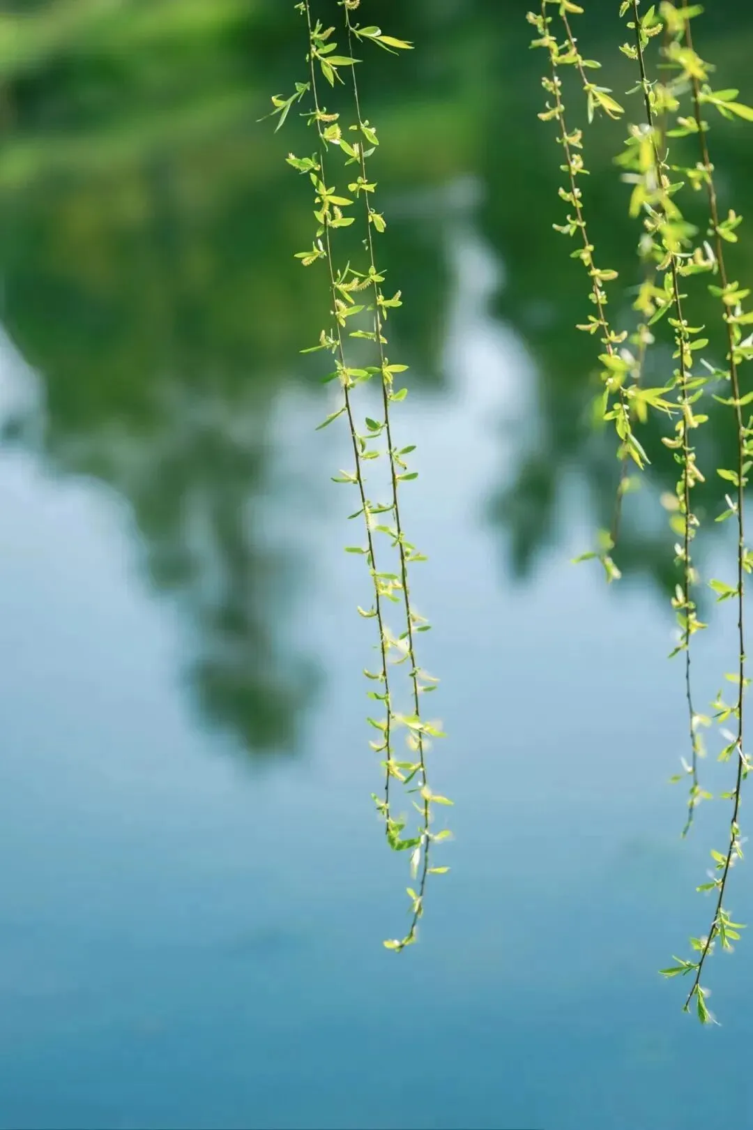 2026江西中考作文风向题四:《与自己的和解》写作指导 第1张