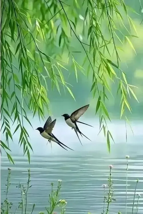 2026江西中考作文风向题四:《与自己的和解》写作指导 第2张