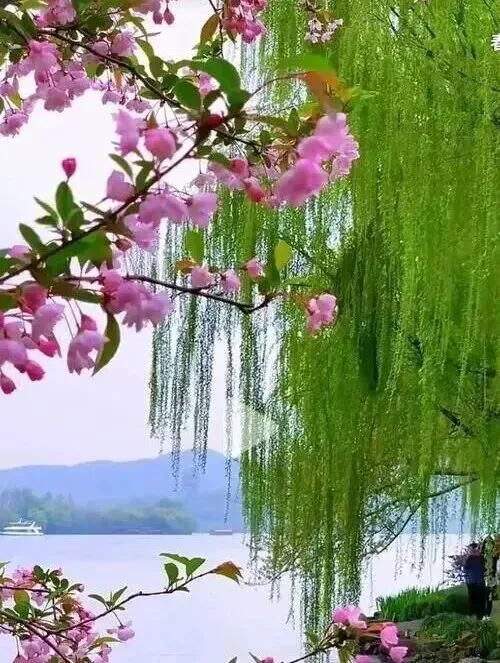 2026江西中考作文风向题四:《与自己的和解》写作指导 第4张