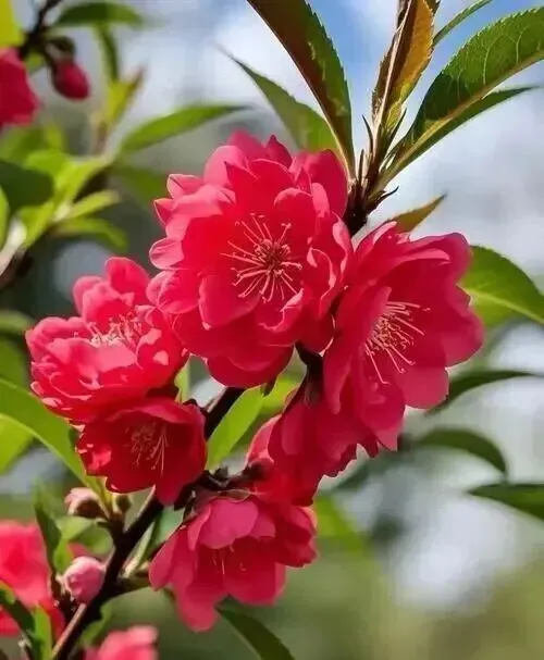 2026江西中考作文风向题四:《与自己的和解》写作指导 第5张