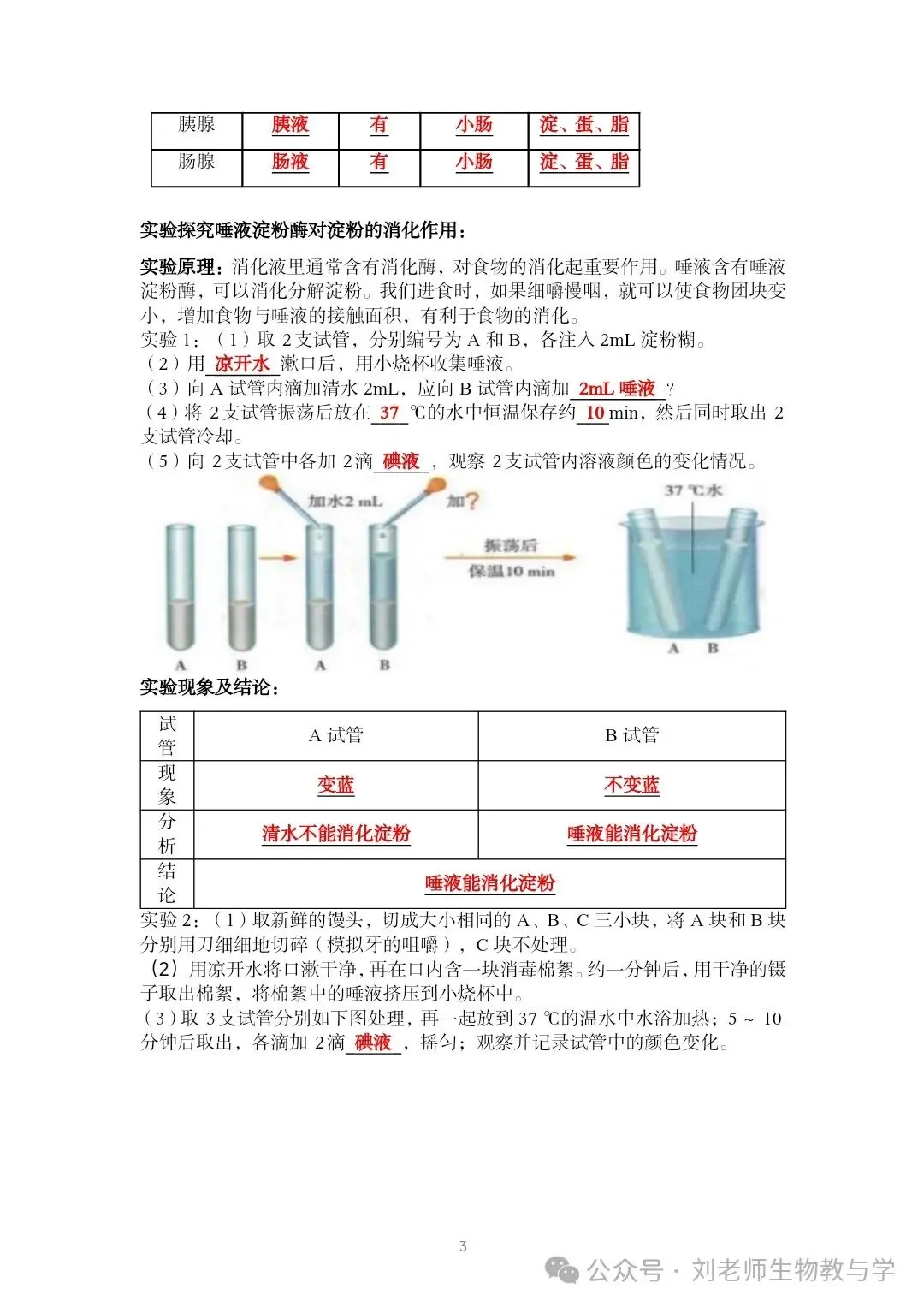 最新初中生物中考知识清单7个主题 答案划线版+挖空版 共20个word文档 主题五 人体生理与健康(1)消化系统 第4张 最新初中生物中考知识清单7个主题 答案划线版+挖空版 共20个word文档 主题五 人体生理与健康(1)消化系统 第4张