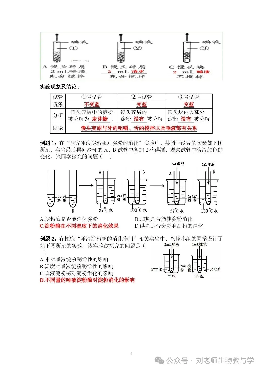 最新初中生物中考知识清单7个主题 答案划线版+挖空版 共20个word文档 主题五 人体生理与健康(1)消化系统 第5张 最新初中生物中考知识清单7个主题 答案划线版+挖空版 共20个word文档 主题五 人体生理与健康(1)消化系统 第5张