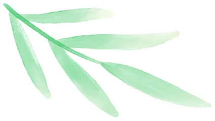 聚焦中考改革,优化教学策略 第7张 聚焦中考改革,优化教学策略 第7张