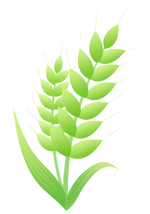 聚焦中考改革,优化教学策略 第30张 聚焦中考改革,优化教学策略 第30张