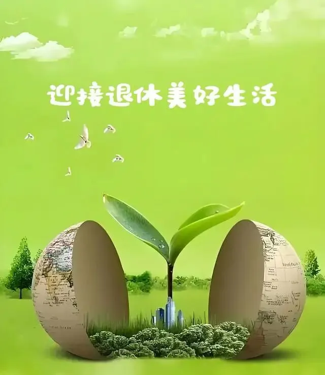 二套数学中考模拟卷 第15张