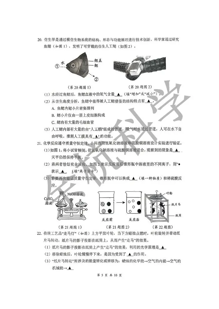 【中考模拟】浙江省衢州市柯城区2026年初中毕业生学业水平调研测试 科学试题卷 第10张