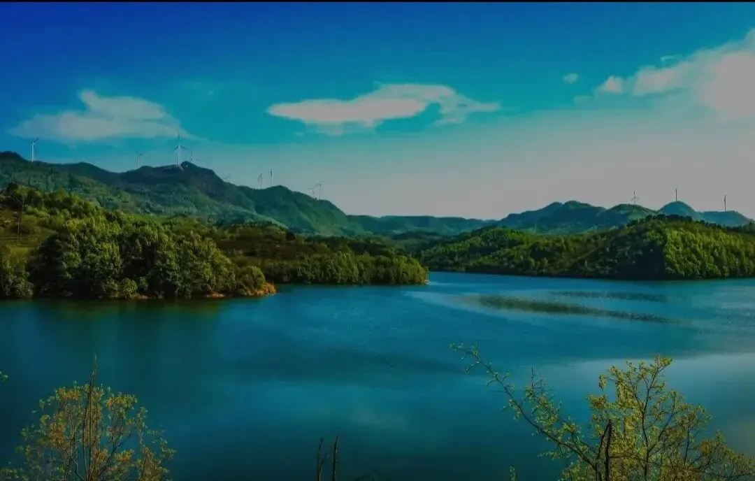 水利监理机电及金结全真真题试卷(含近三年真题答案) 第2张