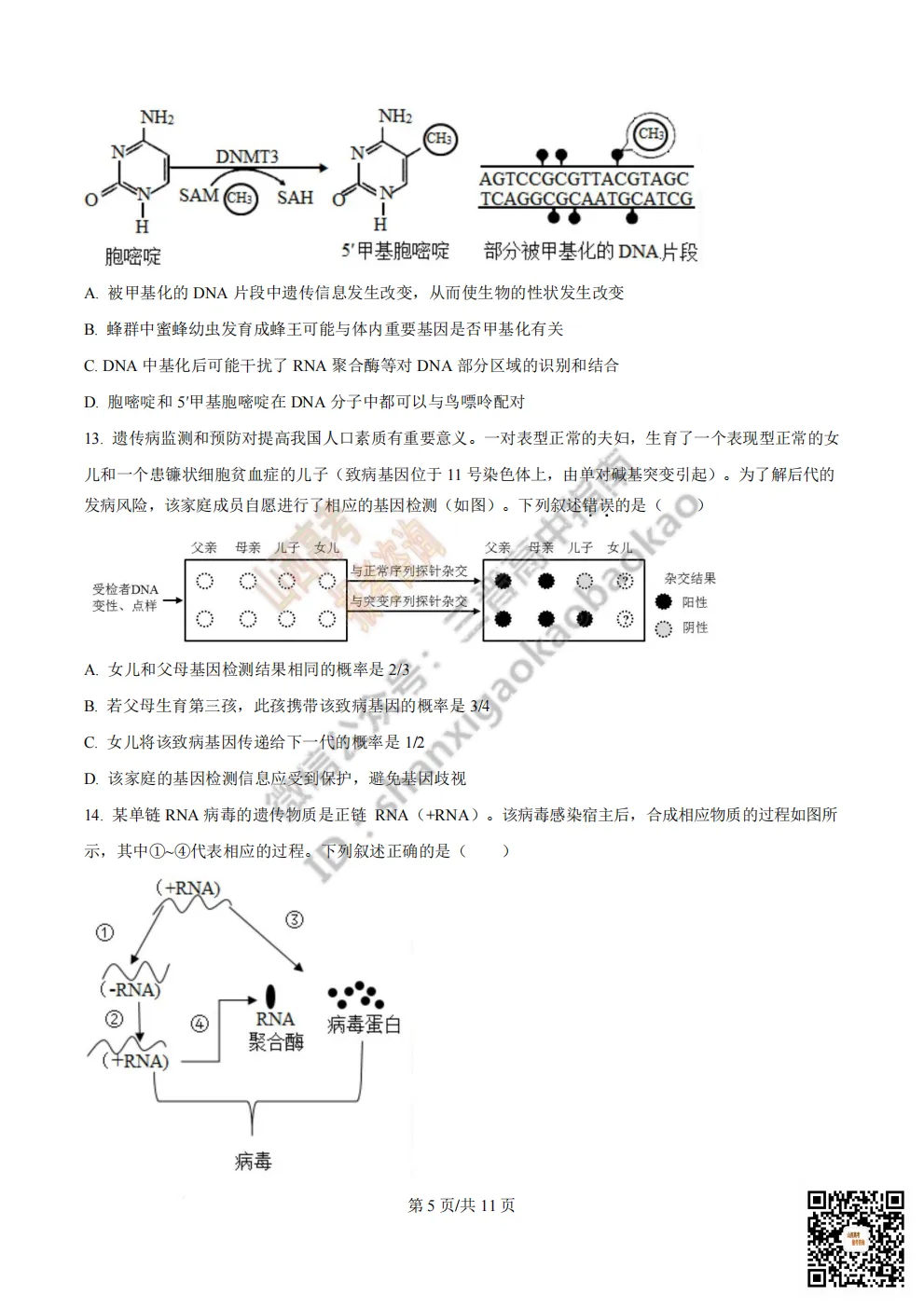 陕西省西安中学2026高三第三次模拟考试全科试题与答案!附送高清打印版 第147张