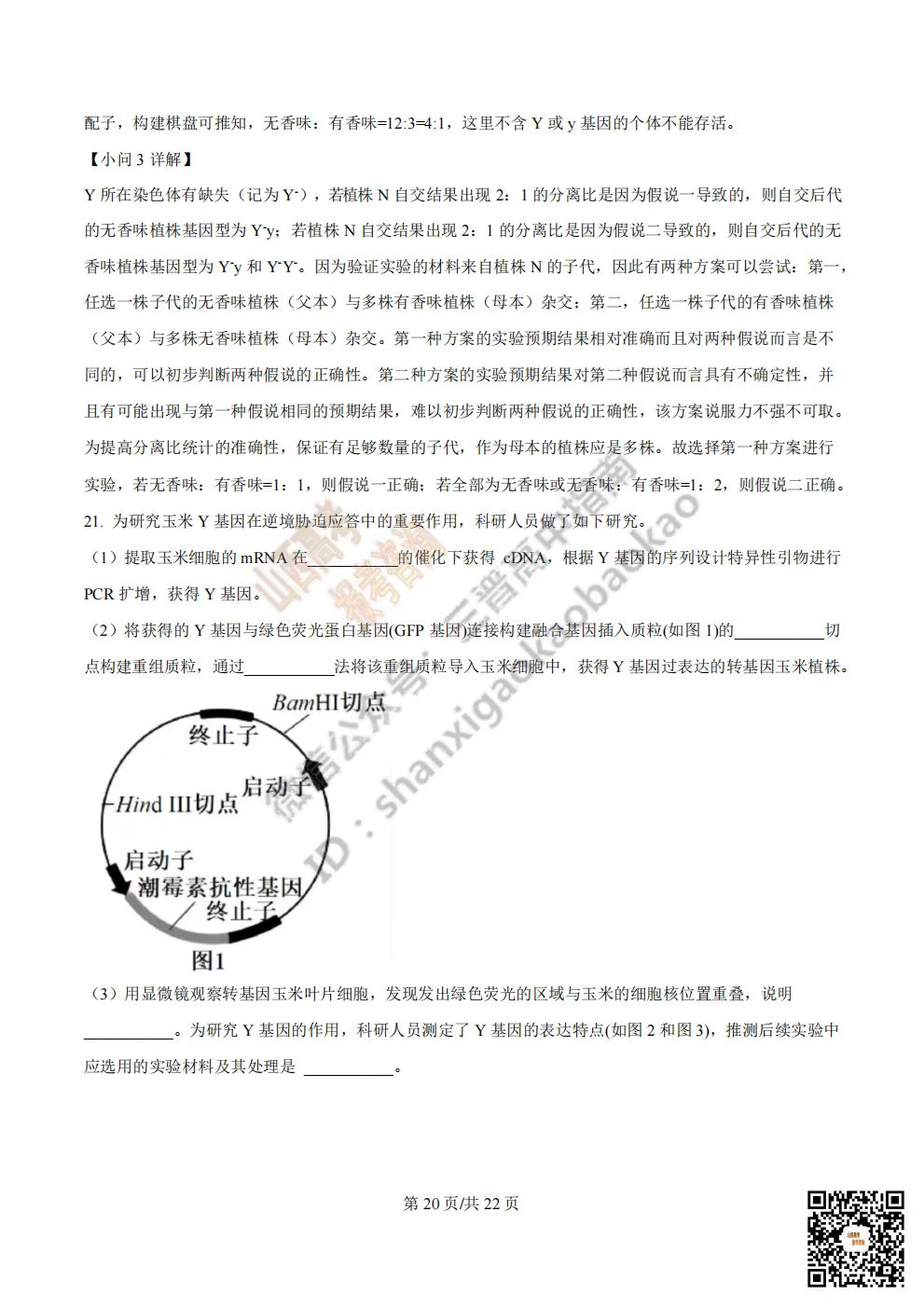 陕西省西安中学2026高三第三次模拟考试全科试题与答案!附送高清打印版 第173张