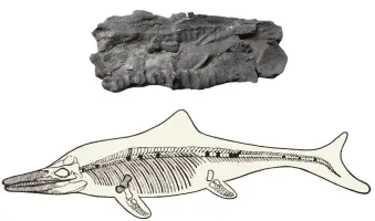 【鸣识优学家】中考地理·真题分类卷·陆地和海洋(五) 第8张
