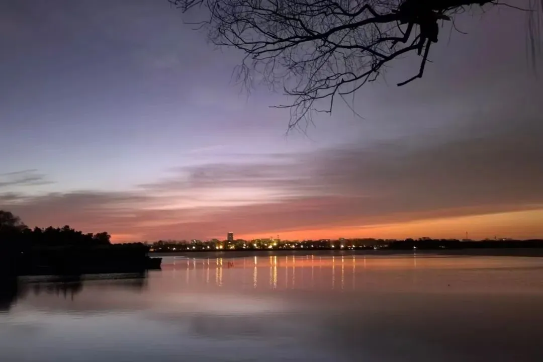 系统复习│中考非连续性文本阅读7大考点+4道中考题 第7张