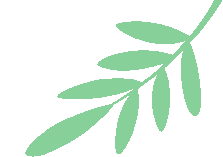 刷透真题,练准模拟:梓林遴选刷题班助你硬核提分 第4张