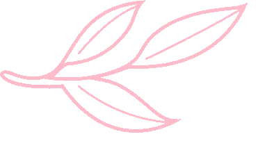 刷透真题,练准模拟:梓林遴选刷题班助你硬核提分 第7张