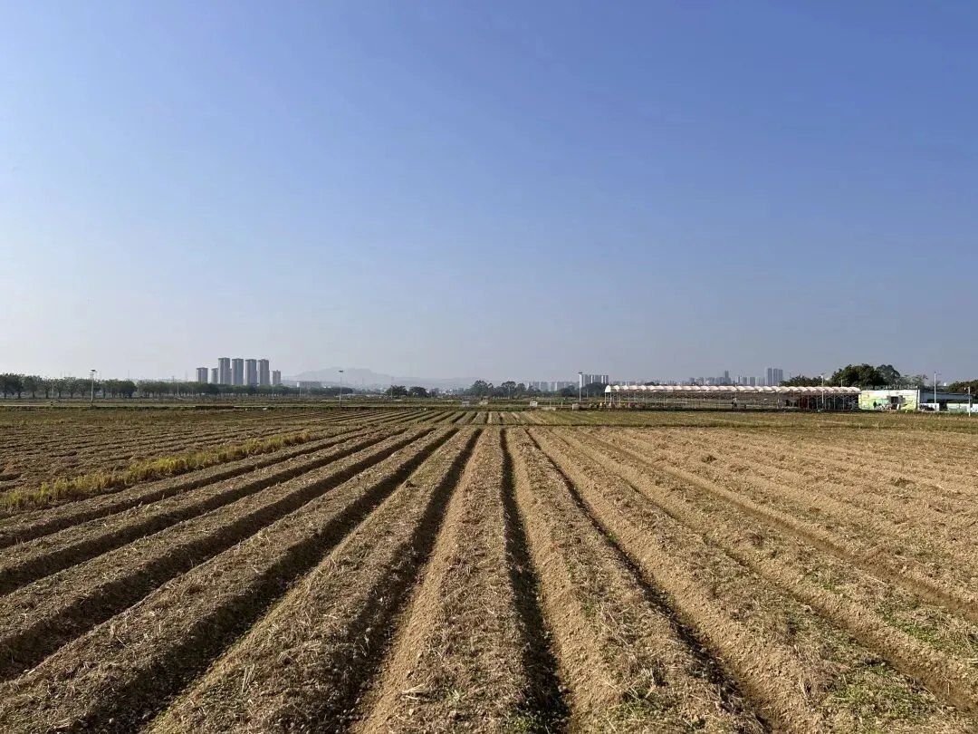 中考分流,乡镇骨干教师的子女也去读技校了,这才是农村教育最痛的真相 第1张