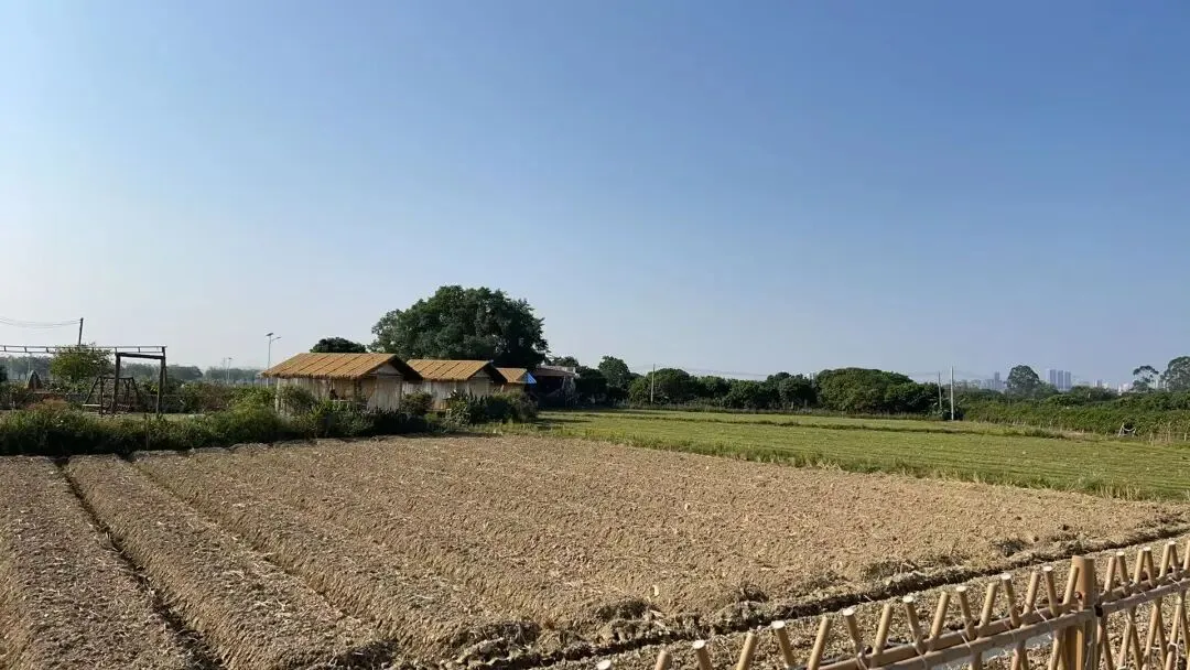 中考分流,乡镇骨干教师的子女也去读技校了,这才是农村教育最痛的真相 第2张